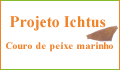 Projeto Ichtus - couro de peixe marinho 